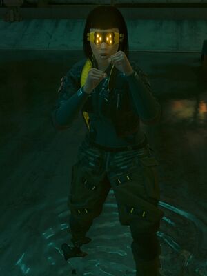 Mower Infobox CP2077.jpg