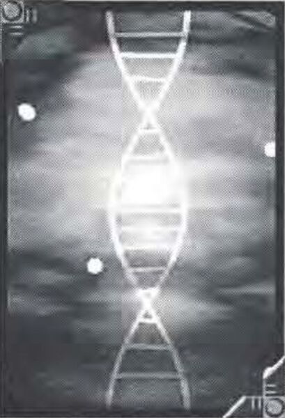 File:Viral 15 Program.jpeg