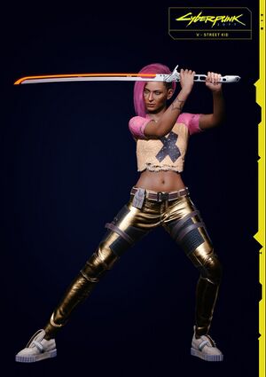 Streetkid FV Guide.jpg