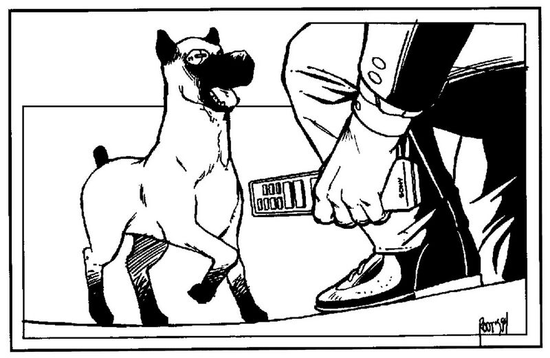 File:Digital Watchdog.jpeg