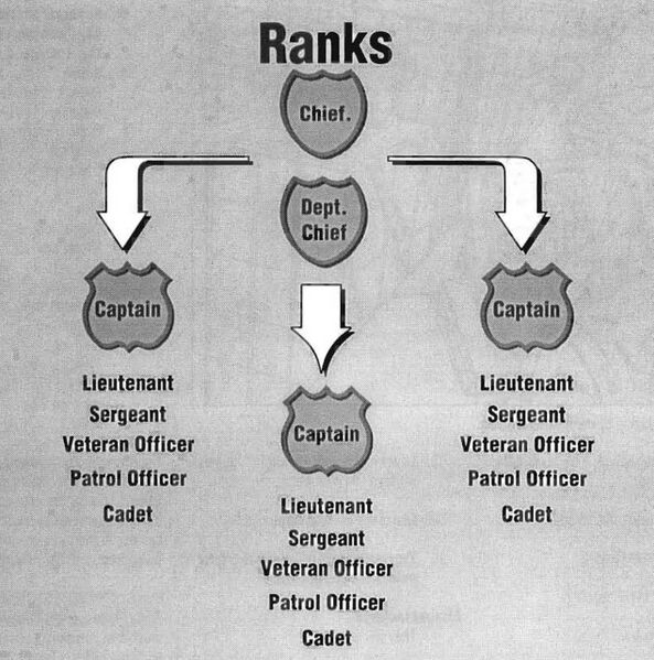 File:NCPD Department Structure 01 2020PS.jpg