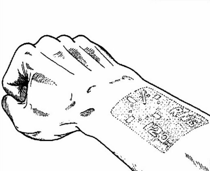 File:Subdermal Viewscreen.jpeg