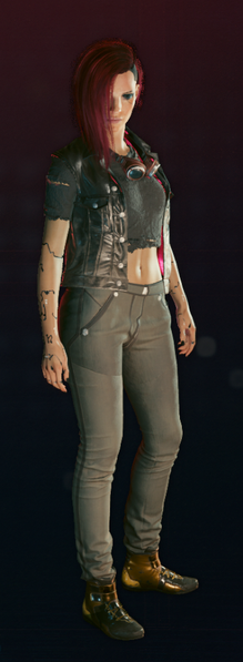 File:The Nomad Patch Set F.png