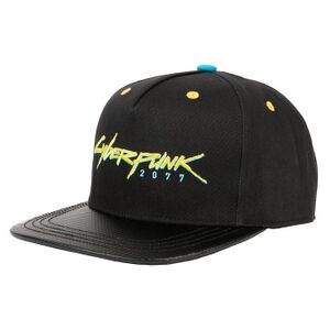Hat LogoSnap.jpg