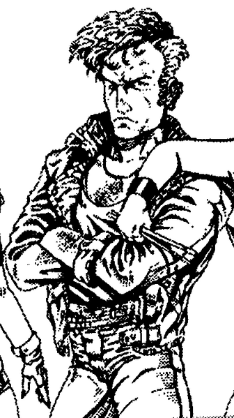 File:ZZ Destroyer Infobox CP2020.png