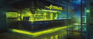 Afterlife Artwork 2077WB.jpg