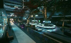 Lele Park Michal Burnetko 01 CP2077.jpg