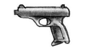 Sternmeyer Type 35 Pistol 2020CR1.JPG