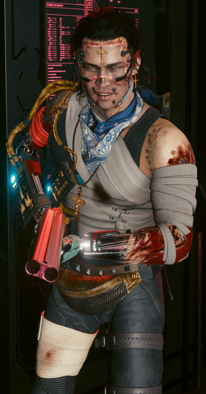 Lely Hein Infobox CP2077.png