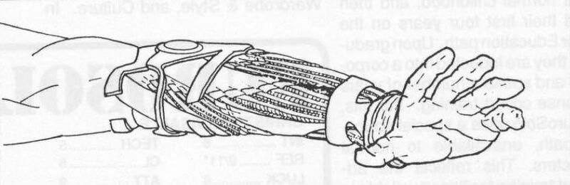 File:Hammerhand (Cyberware) CP2013SOF.JPG