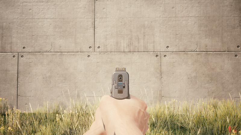 File:Weapon 1stPerson ConstitutionalArms Unity AimDownSight.png