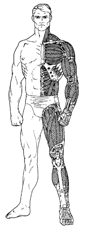 Raven Microcyb Gemini 2020C2.png