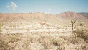 Cyberpunk 2077 Location Red Peaks.jpg