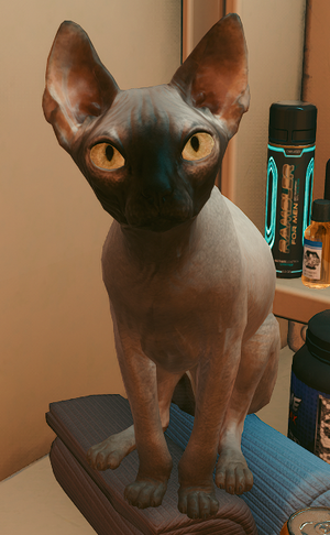 Nibbles Infobox CP2077.png