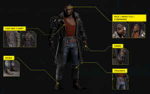 Placide Cosplay Guide.png