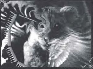 Chimera Program.jpeg