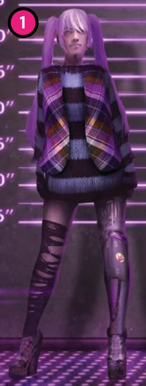 Mimic Clothing Kit (Rough image).jpeg