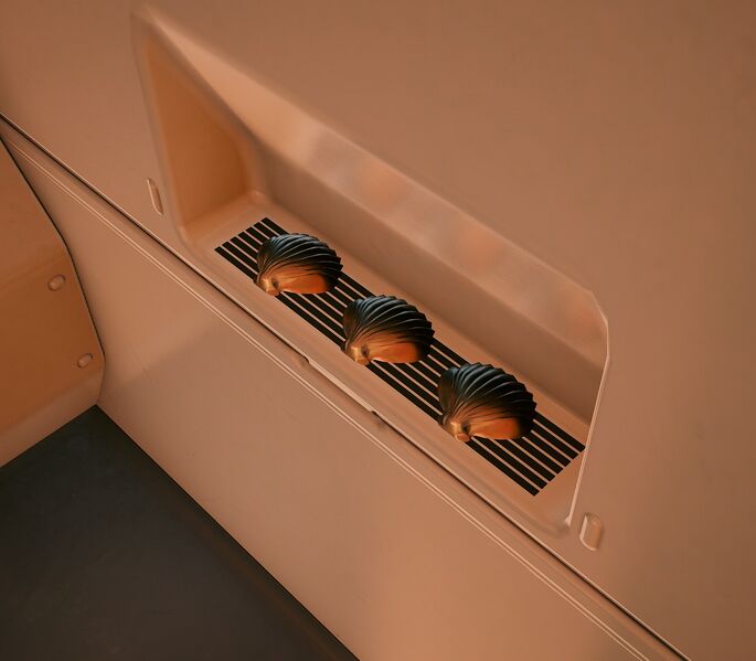 File:VApartment Seashells.jpg