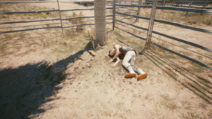 Datashard Location ACDaleRobinsonCarolRobinson.png