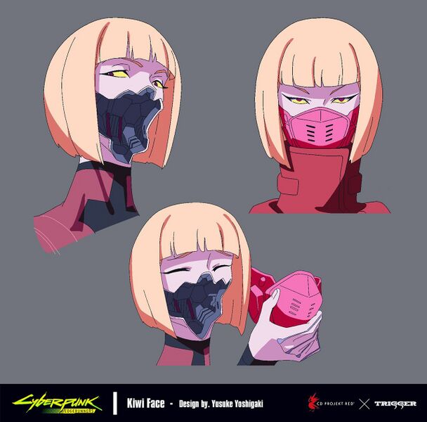 File:Kiwi Mask CPEDGE.jpg