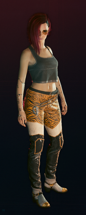 The Sun Set F CP2077.png