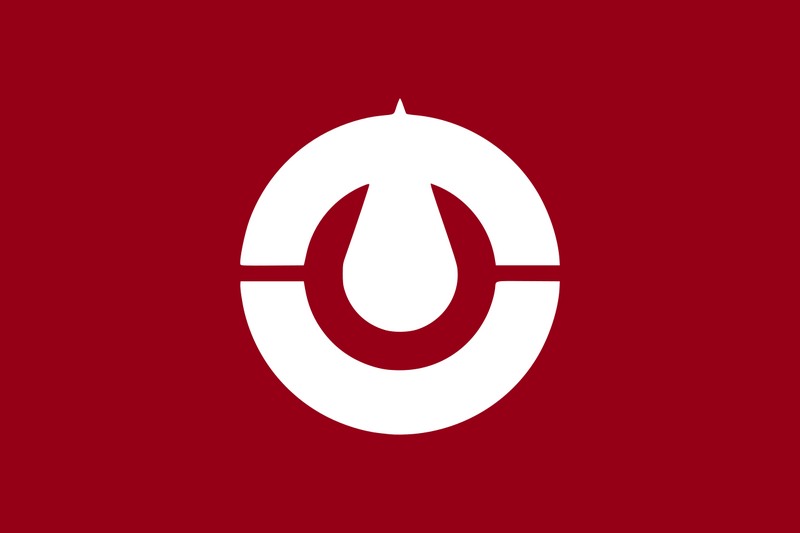 File:Flag of Kochi.png