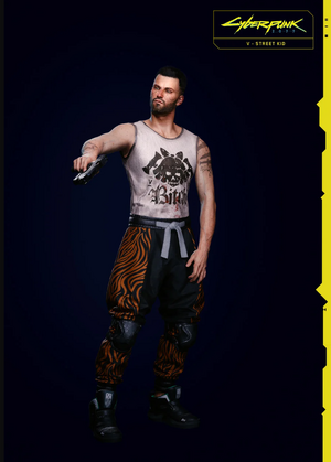 Streetkid MV Guide.png