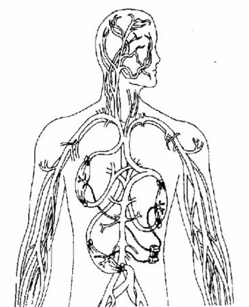 File:Decentralised Heart.jpeg