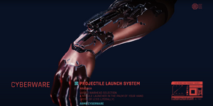 Arasaka PLS P2077.png