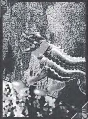 Rex Fang Fang 2.0 Program.jpeg