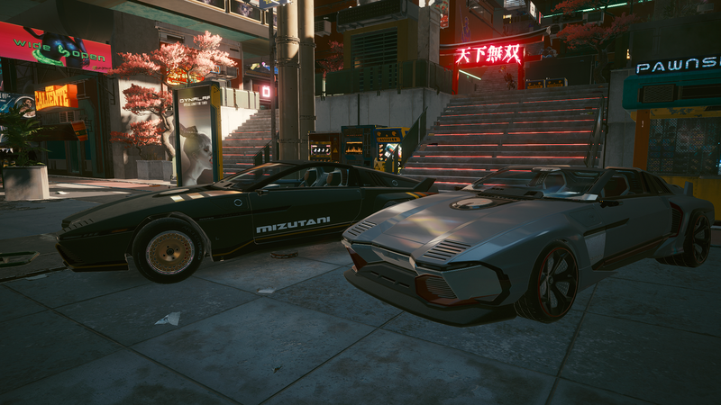 File:Mizutani Shion.png