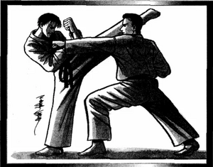 Japan (Nippon) Martial Arts.png