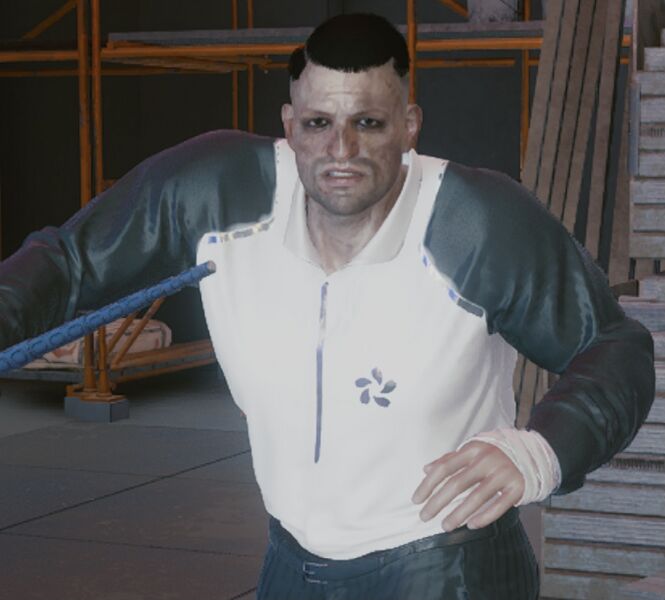 File:Char profile Seamus Sawicki.jpeg