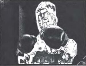 Knockout Program.jpeg