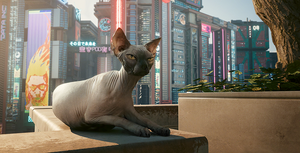 DLC PhotomodeUpdates CP2077.png