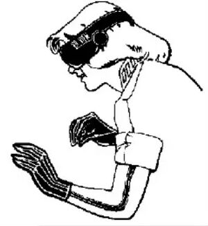 Gloves and Goggles Interface.jpeg