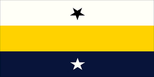 Night City Flag CP2077.png