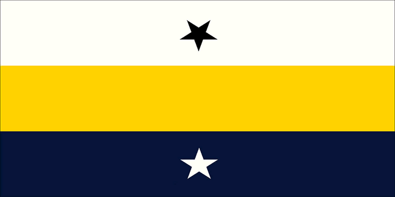 File:Night City Flag CP2077.png