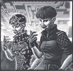 False Echo Program.jpeg